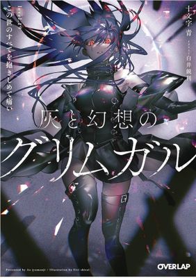 GRIMGAR OF FANTASY & ASH LIGHT NOVEL VOL 19