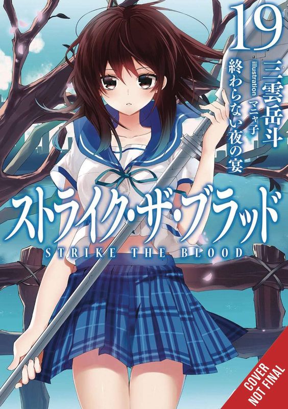 STRIKE THE BLOOD LIGHT NOVEL SC VOL 19