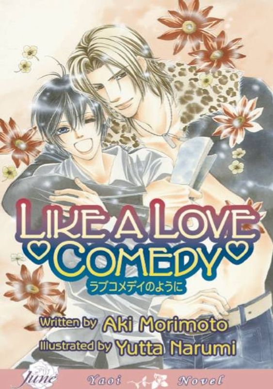 LIKE A LOVE COMEDY NOVEL (MR)
