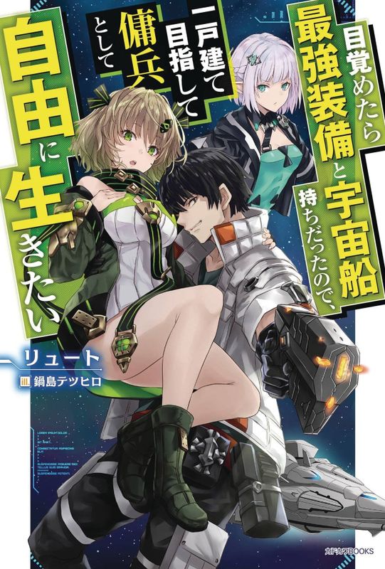REBORN AS A SPACE MERCENARY LIGHT NOVEL SC VOL 01