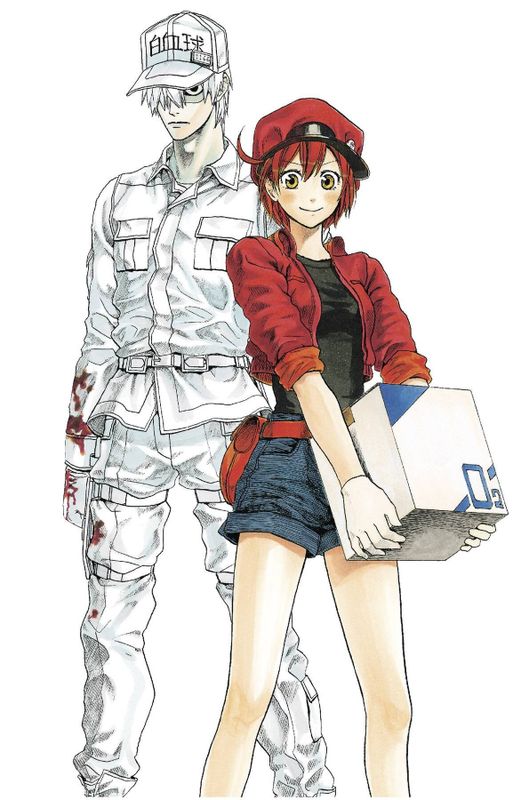 CELLS AT WORK COMP BOX SET