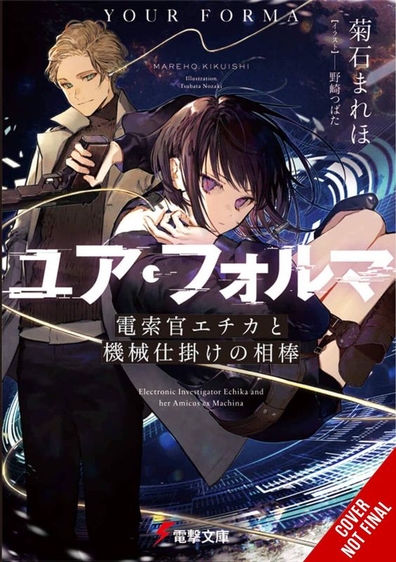 YOUR FORMA LIGHT NOVEL SC VOL 01