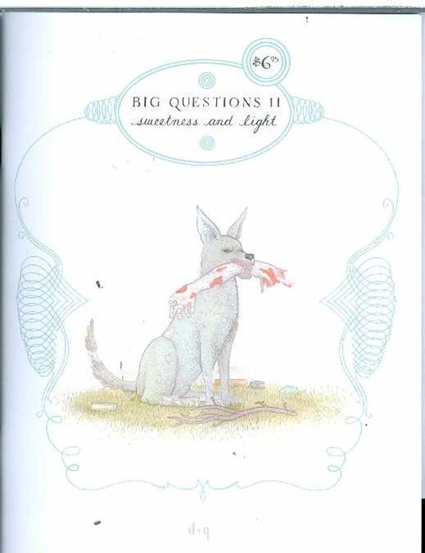 BIG QUESTIONS #11 (MR)