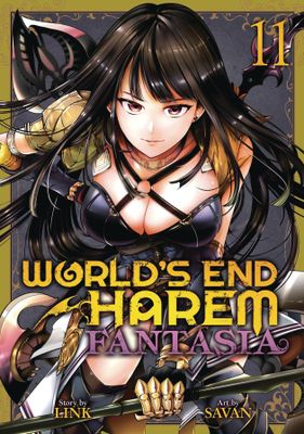 WORLDS END HAREM FANTASIA GN VOL 11