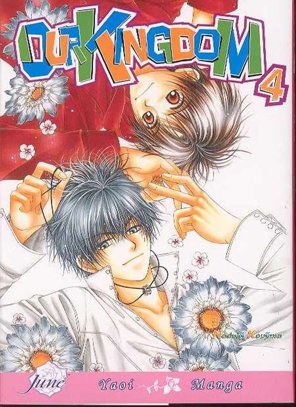 OUR KINGDOM GN VOL 04 (MR)