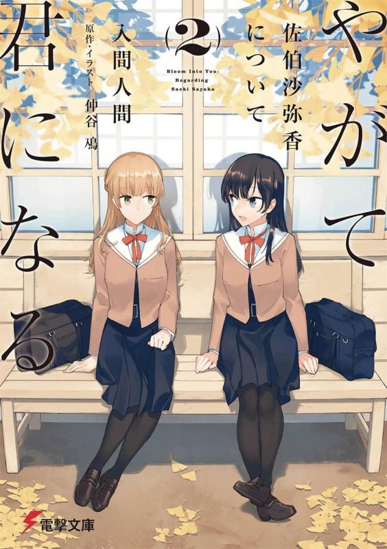 BLOOM INTO YOU LIGHT NOVEL SC VOL 02