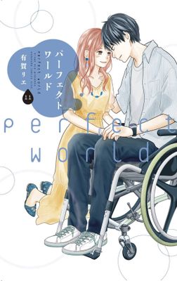 PERFECT WORLD GN VOL 11