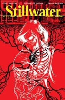 STILLWATER BY ZDARSKY & PEREZ TP VOL 01 (MR)