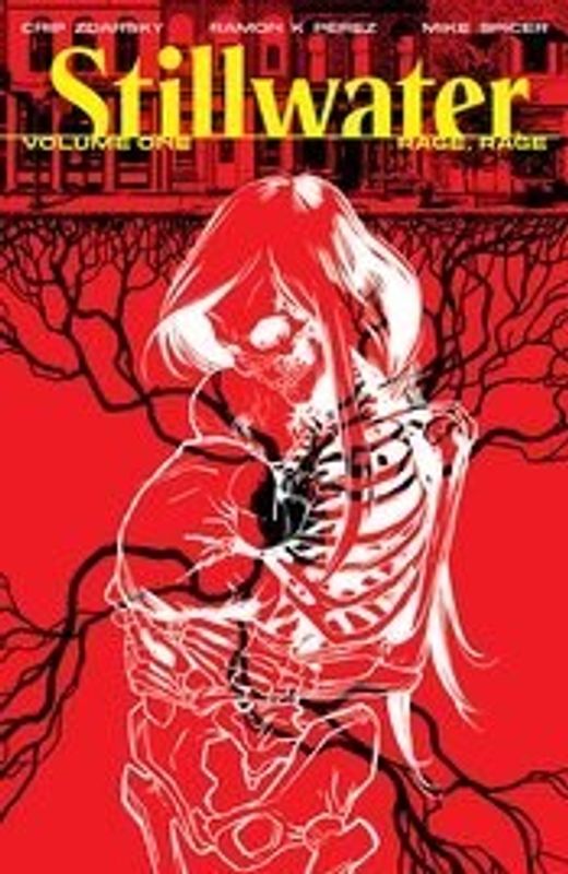 STILLWATER BY ZDARSKY & PEREZ TP VOL 01 (MR)