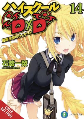 HIGH SCHOOL DXD LIGHT NOVEL SC VOL 14