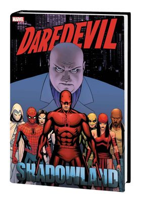 DAREDEVIL SHADOWLAND OMNIBUS HC CASSADAY NEW PTG CVR