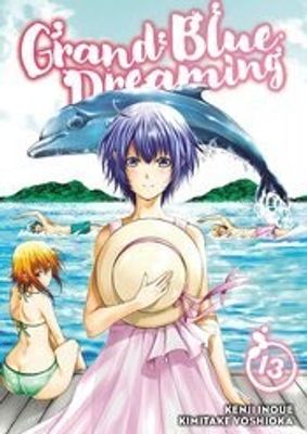 GRAND BLUE DREAMING GN VOL 13 (MR)