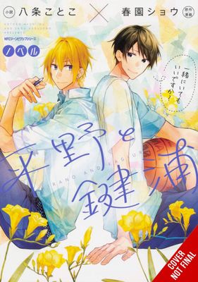 HIRANO & KAGUIRA LIGHT NOVEL SC