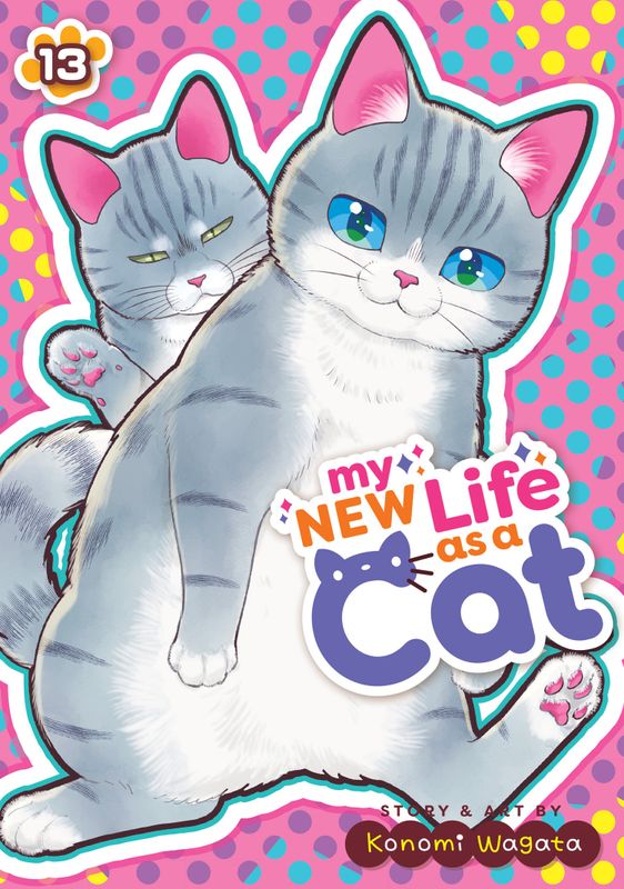 MY NEW LIFE AS A CAT VOL. 13