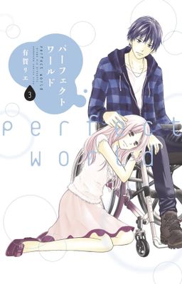 PERFECT WORLD GN VOL 03