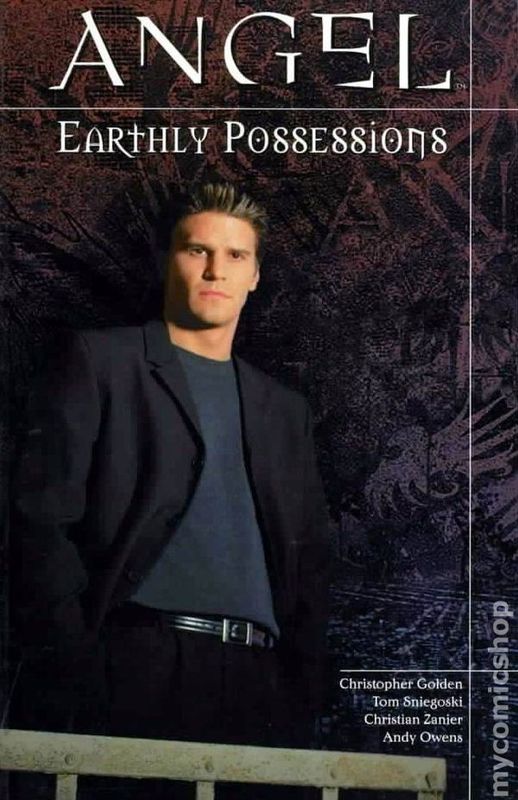 ANGEL EARTHLY POSSESSIONS TP