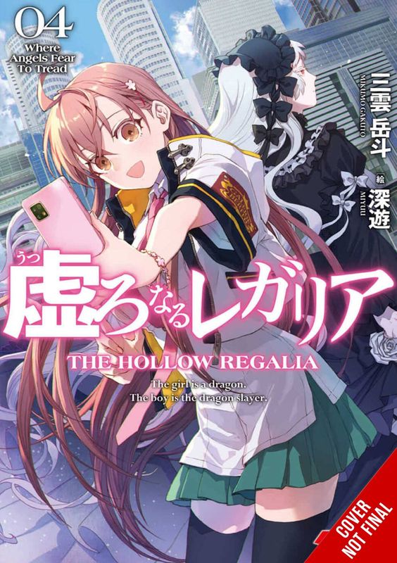 HOLLOW REGALIA LIGHT NOVEL SC VOL 04