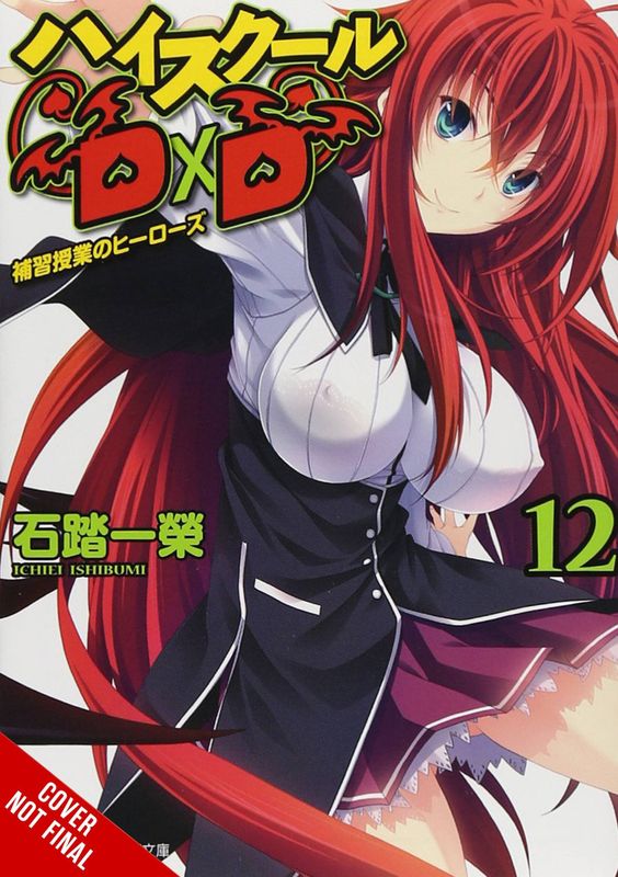 HIGH SCHOOL DXD GN VOL 12