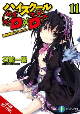 HIGH SCHOOL DXD LIGHT NOVEL SC VOL 11