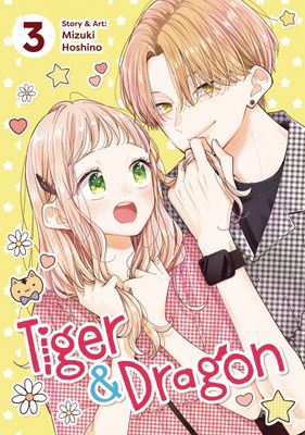 TIGER & DRAGON GN VOL 03