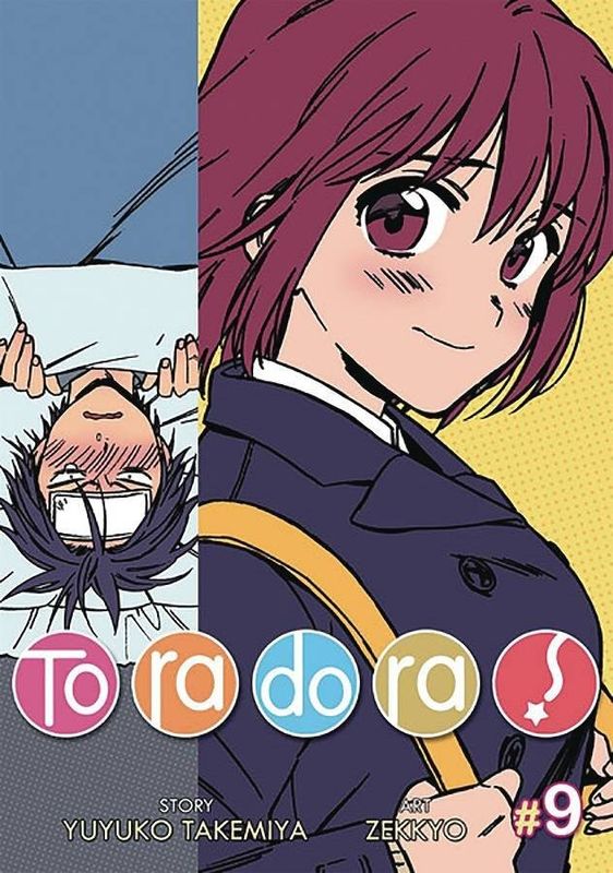 TORADORA GN VOL 10