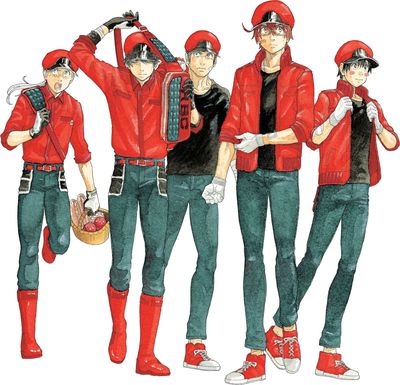 CELLS AT WORK CODE BLACK GN VOL 06