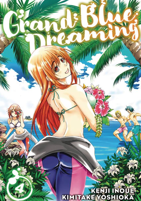 GRAND BLUE DREAMING GN VOL 04 (MR)