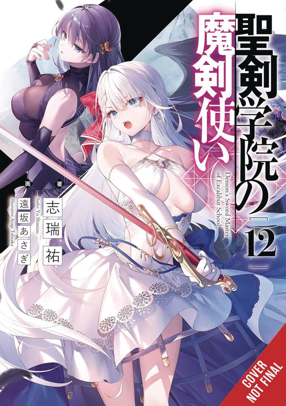 DEMON SWORD MASTER EXCALIBUR ACADEMY NOVEL SC VOL 12  