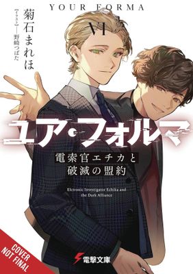 YOUR FORMA LIGHT NOVEL SC VOL 06