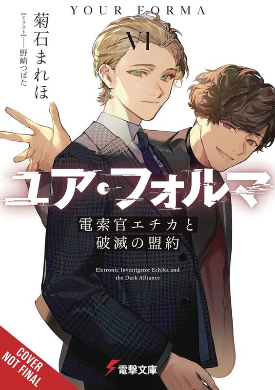 YOUR FORMA LIGHT NOVEL SC VOL 06