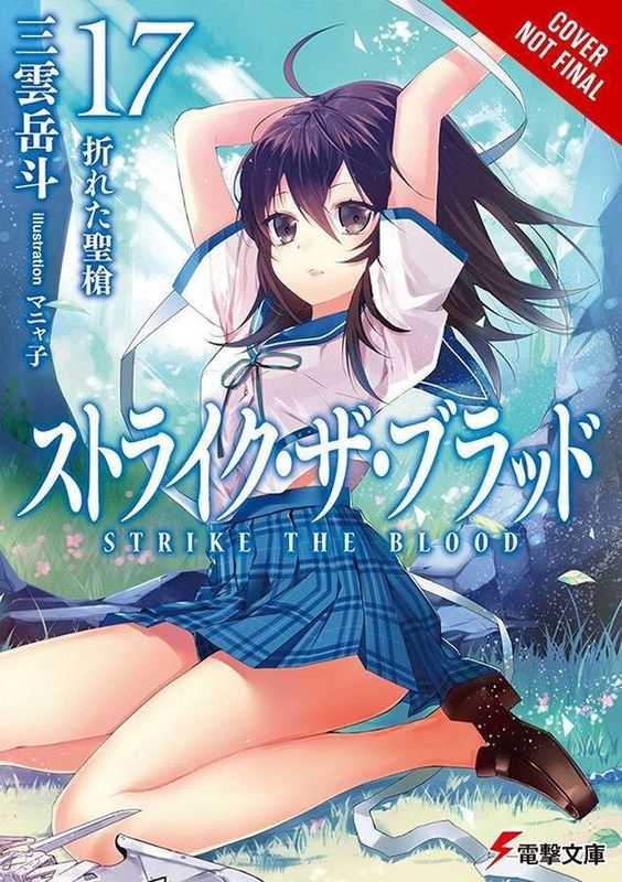 STRIKE THE BLOOD LIGHT NOVEL SC VOL 17