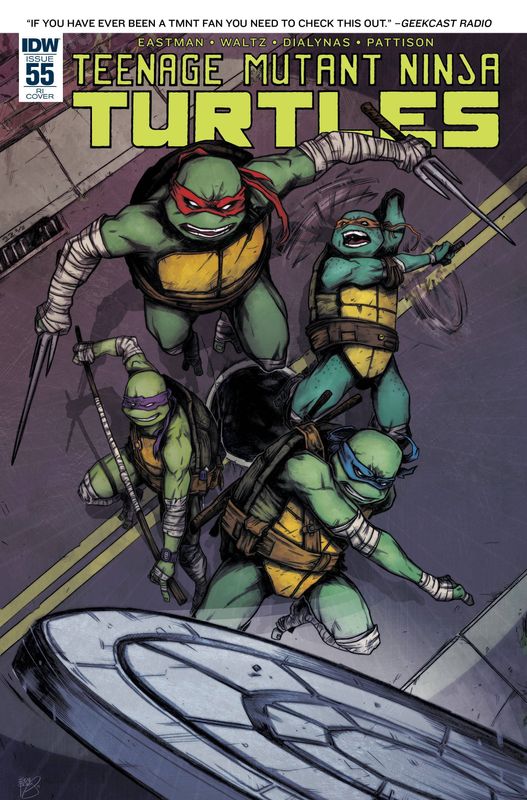 TMNT ONGOING #55 10 COPY INCV