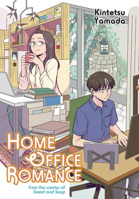 HOME OFFICE ROMANCE GN