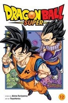 DRAGON BALL SUPER GN VOL 12