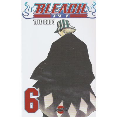 Bleach vol 6