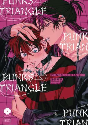 PUNKS TRIANGLE GN