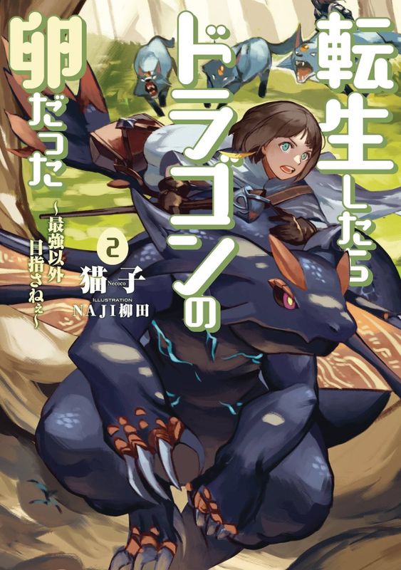 REINCARNATED AS A DRAGON HATCHLING LIGHT NOVEL SC VOL 02