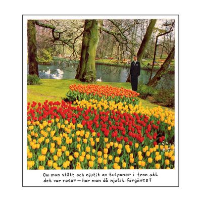 Magnet - Jan Stenmark 'Tulpaner'