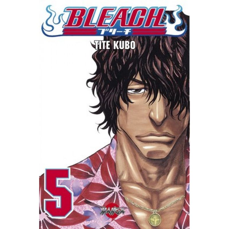 Bleach vol 5