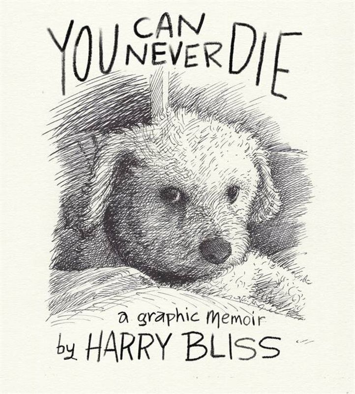 YOU CAN NEVER DIE A GRAPHIC MEMOIR