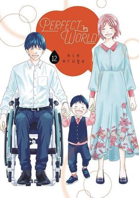 PERFECT WORLD GN VOL 12