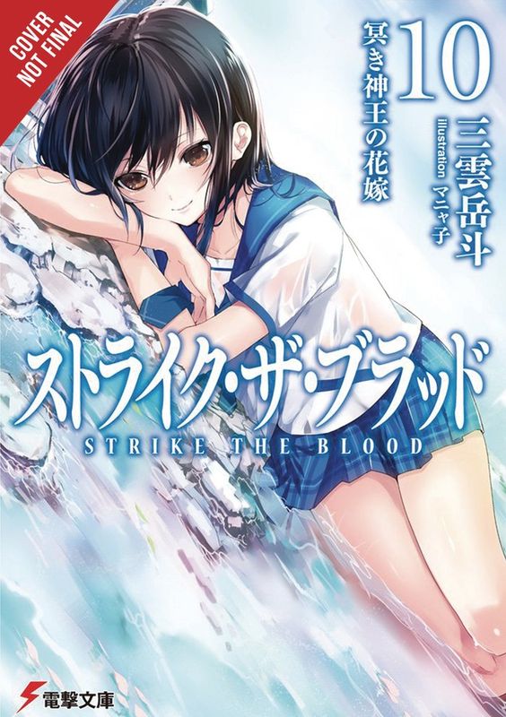 STRIKE THE BLOOD LIGHT NOVEL SC VOL 10