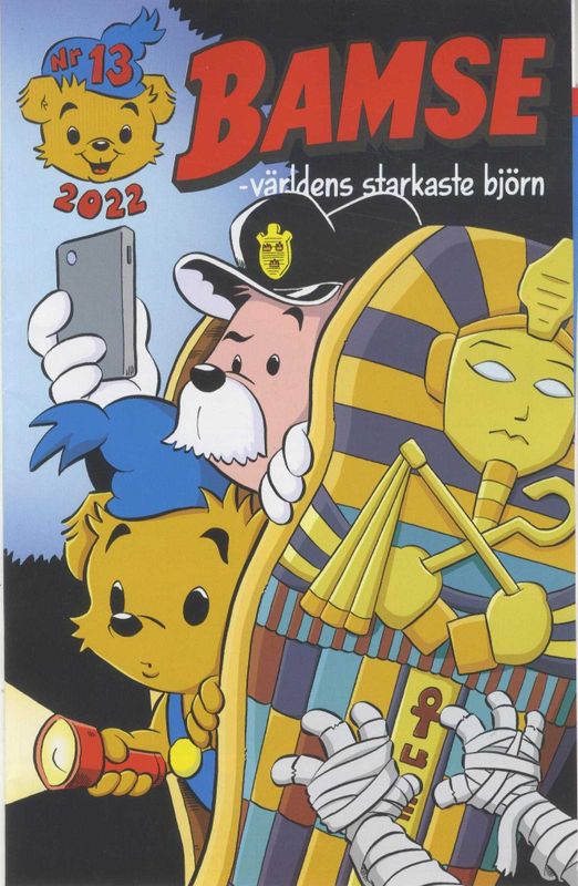 BAMSES NR 13 2022