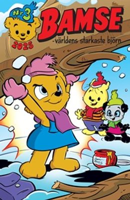 BAMSES NR 3 2025