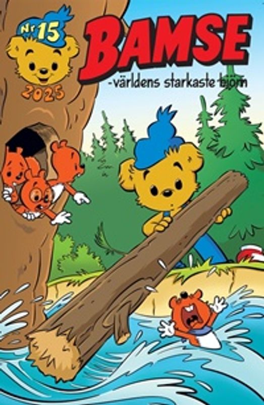 BAMSES NR 15 2025