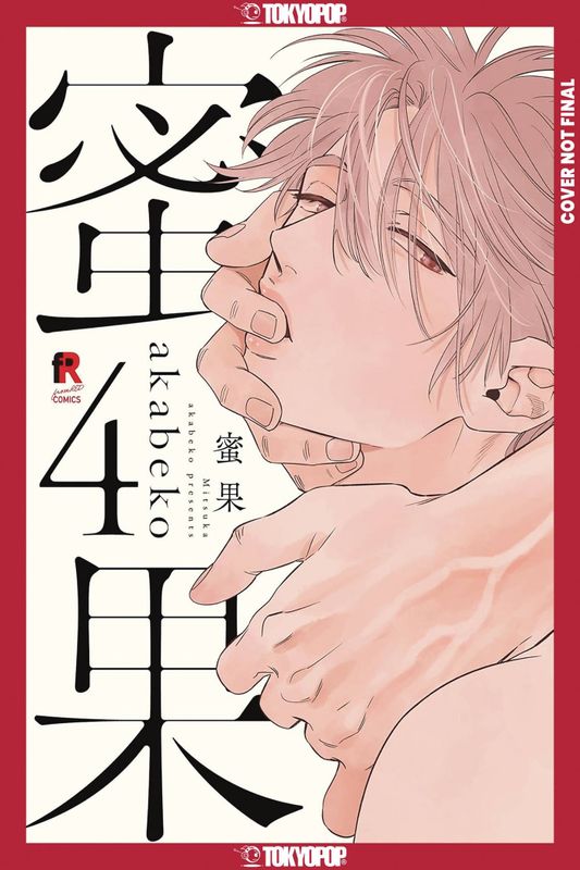 MITSUKA GN VOL 04  