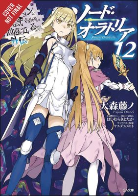 IS WRONG PICK GIRLS DUNGEON SWORD ORATORIA NOVEL SC VOL 12 (