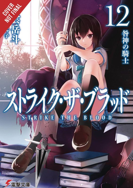 STRIKE THE BLOOD LIGHT NOVEL SC VOL 12