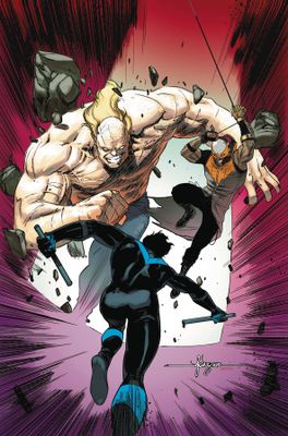 NIGHTWING TP VOL 05 RAPTORS REVENGE REBIRTH