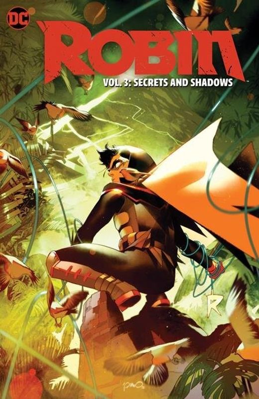 ROBIN TP VOL 03 SECRETS AND SHADOWS